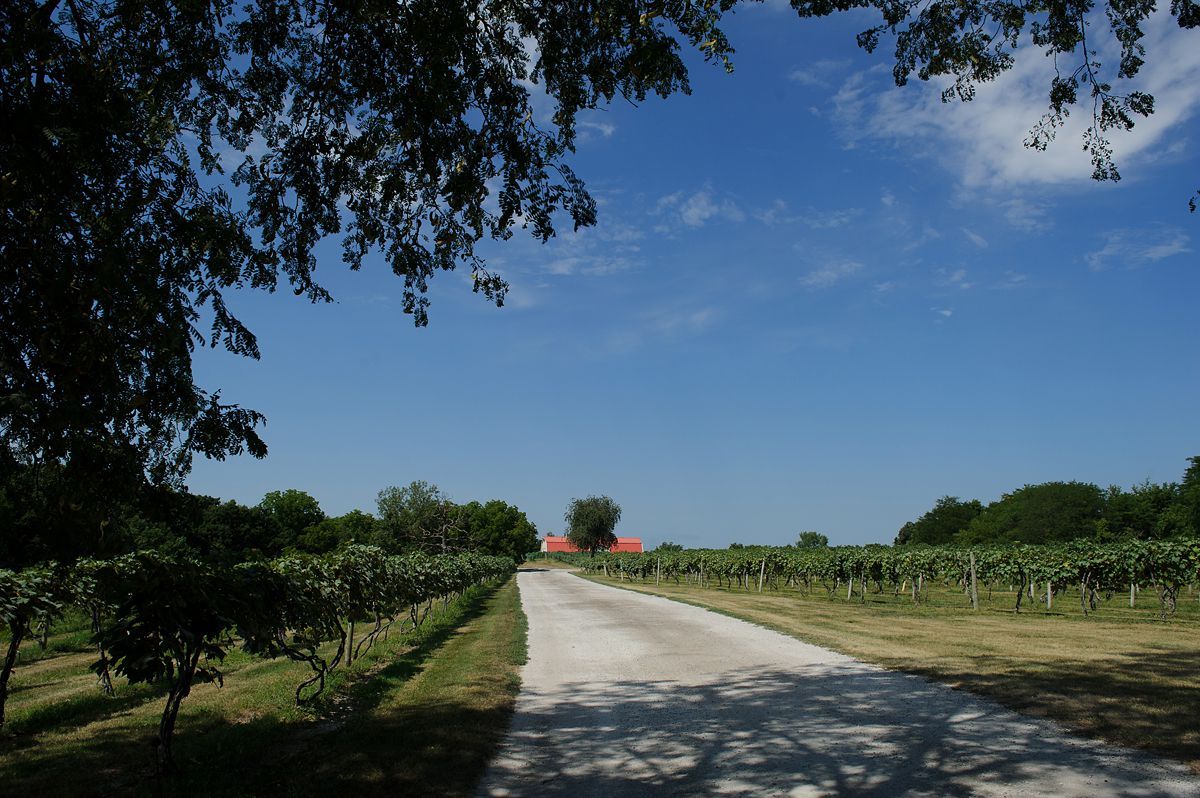 Summerset-Winery-wedding-Amanda-Seth-001