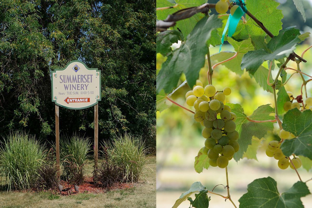 Summerset-Winery-wedding-Amanda-Seth-002